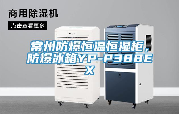 常州防爆恒温恒湿柜，防爆冰箱YP-P388EX