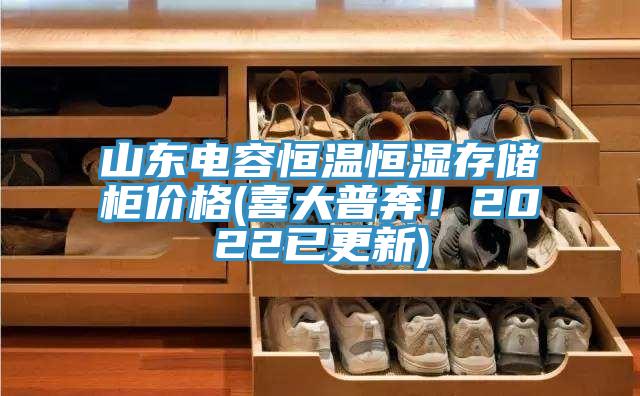 山东电容恒温恒湿存储柜价格(喜大普奔！2022已更新)