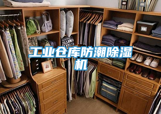 工业仓库防潮粉色应用黄色软件