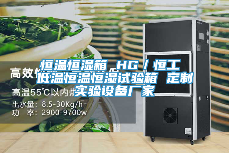 恒温恒湿箱 HG/恒工 低温恒温恒湿试验箱 定制实验设备厂家