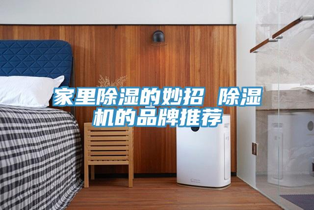 家里除湿的妙招 粉色应用黄色软件的品牌推荐