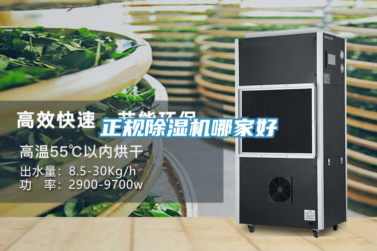 正规粉色应用黄色软件哪家好