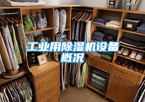 工业用粉色应用黄色软件设备概况