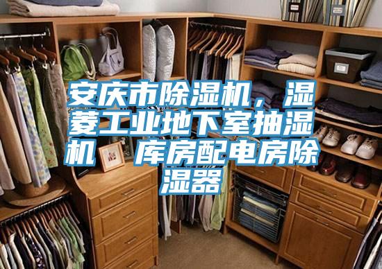 安庆市粉色应用黄色软件，湿菱工业地下室抽湿机  库房配电房除湿器