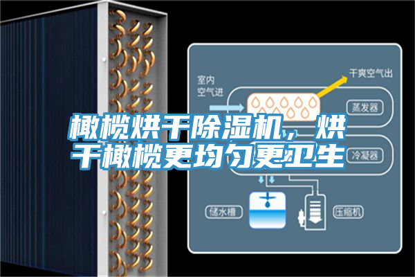 橄榄烘干粉色应用黄色软件，烘干橄榄更均匀更卫生