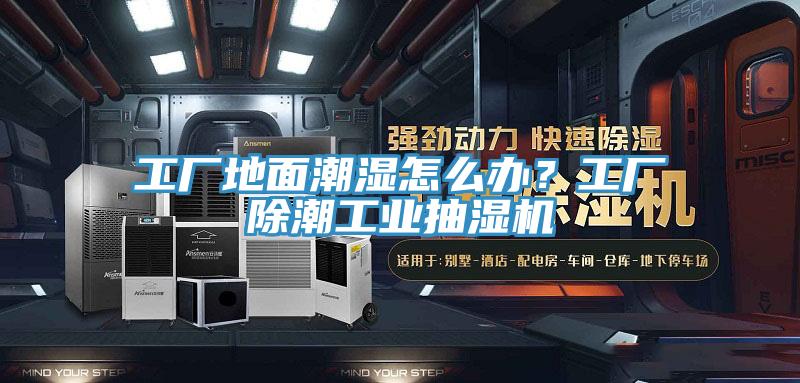 工厂地面潮湿怎么办？工厂除潮工业抽湿机