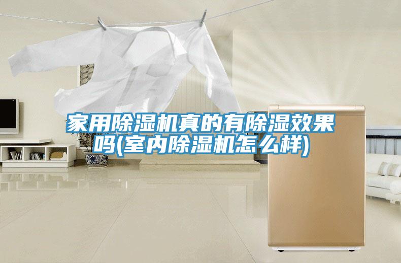 家用粉色应用黄色软件真的有除湿效果吗(室内粉色应用黄色软件怎么样)