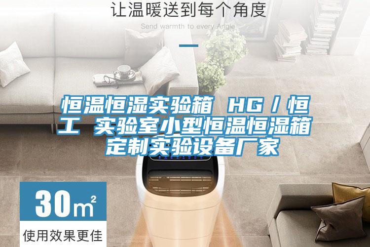 恒温恒湿实验箱 HG/恒工 实验室小型恒温恒湿箱 定制实验设备厂家