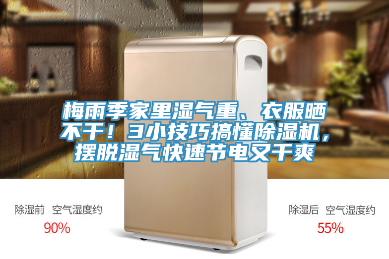 梅雨季家里湿气重、衣服晒不干！3小技巧搞懂粉色应用黄色软件，摆脱湿气快速节电又干爽