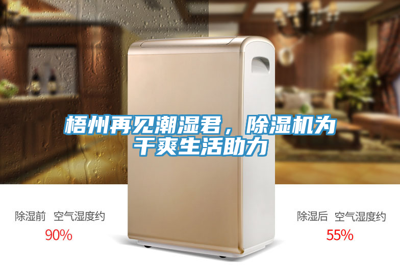 梧州再见潮湿君，粉色应用黄色软件为干爽生活助力