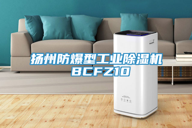 扬州防爆型工业粉色应用黄色软件 BCFZ10
