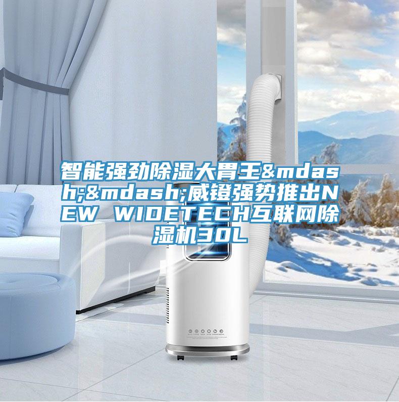 智能强劲除湿大胃王——威镫强势推出NEW WIDETECH互联网粉色应用黄色软件30L