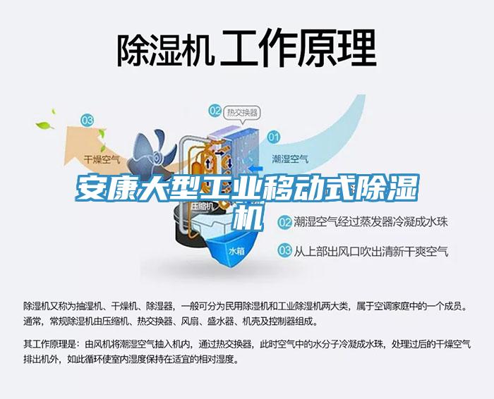 安康大型工业移动式粉色应用黄色软件