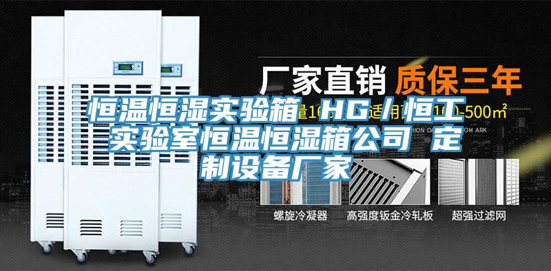 恒温恒湿实验箱 HG/恒工 实验室恒温恒湿箱公司 定制设备厂家