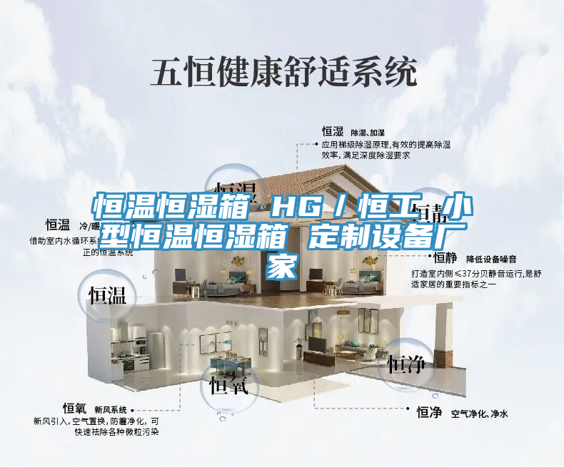 恒温恒湿箱 HG/恒工 小型恒温恒湿箱 定制设备厂家