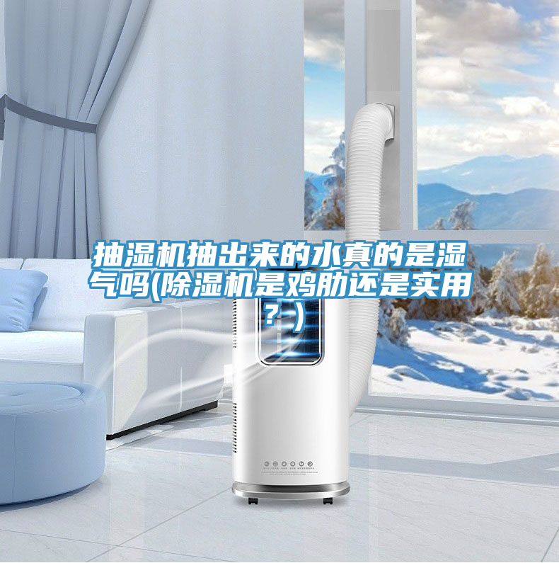 抽湿机抽出来的水真的是湿气吗(粉色应用黄色软件是鸡肋还是实用？)