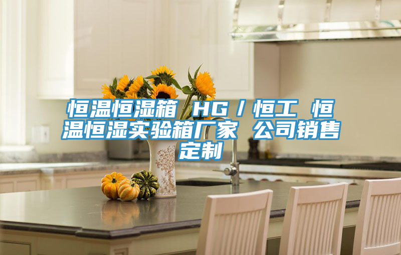 恒温恒湿箱 HG/恒工 恒温恒湿实验箱厂家 公司销售定制
