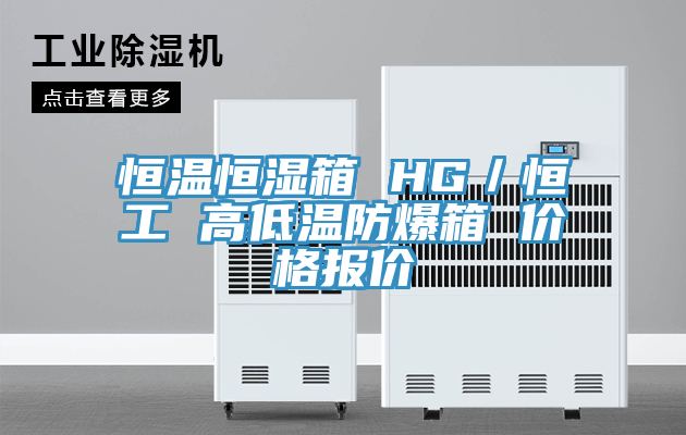 恒温恒湿箱 HG/恒工 高低温防爆箱 价格报价