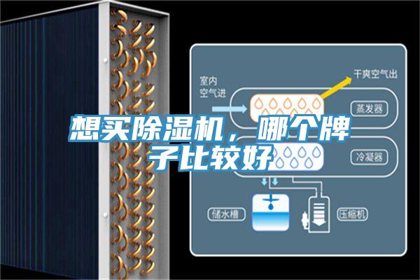 想买粉色应用黄色软件，哪个牌子比较好