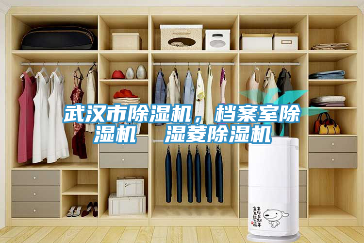 武汉市粉色应用黄色软件，档案室粉色应用黄色软件  湿菱粉色应用黄色软件