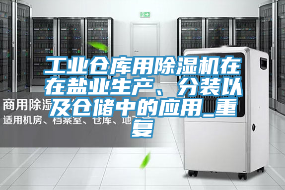 工业仓库用粉色应用黄色软件在在盐业生产、分装以及仓储中的应用_重复