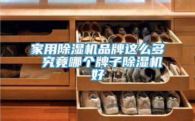 家用粉色应用黄色软件品牌这么多 究竟哪个牌子粉色应用黄色软件好