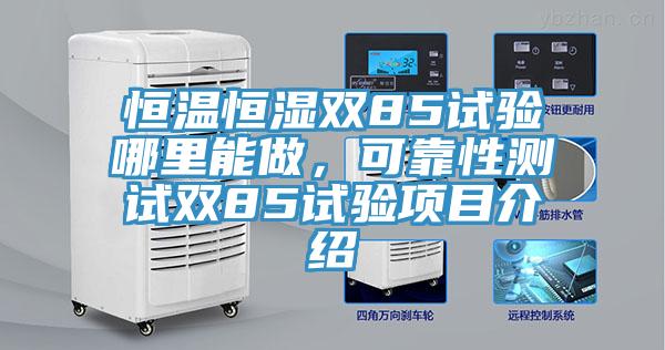 恒温恒湿双85试验哪里能做，可靠性测试双85试验项目介绍