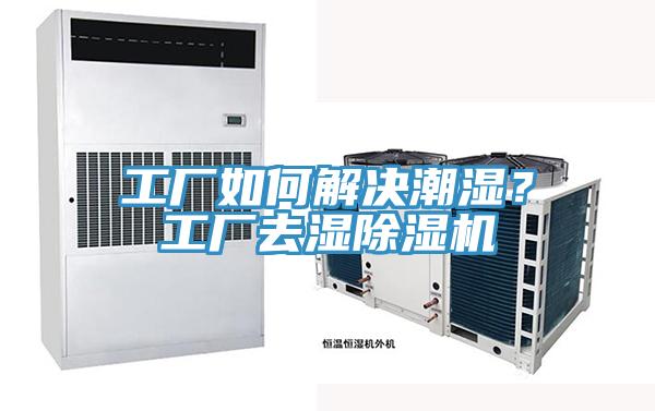 工厂如何解决潮湿？工厂去湿粉色应用黄色软件