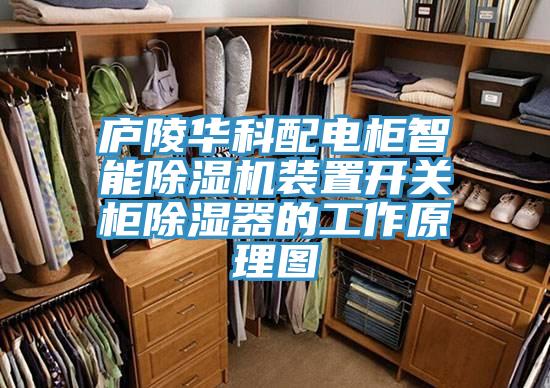 庐陵华科配电柜智能粉色应用黄色软件装置开关柜除湿器的工作原理图