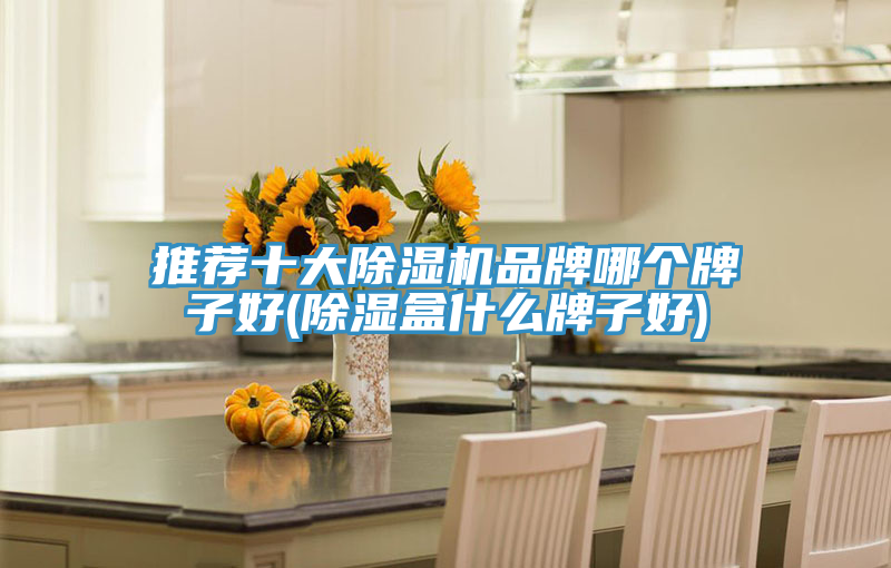 推荐十大粉色应用黄色软件品牌哪个牌子好(除湿盒什么牌子好)