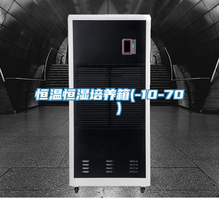 恒温恒湿培养箱(-10-70 ℃)