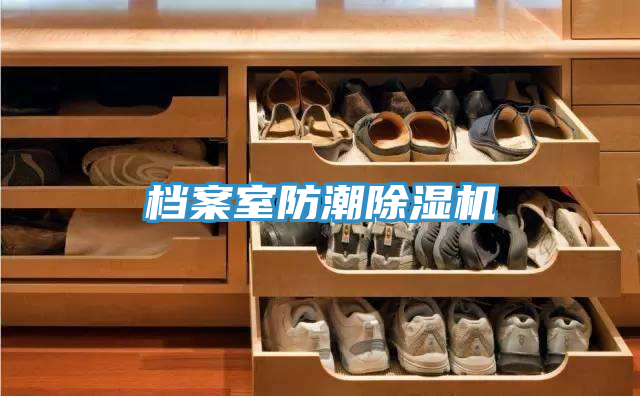 档案室防潮粉色应用黄色软件