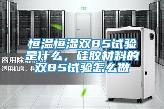 恒温恒湿双85试验是什么，硅胶材料的双85试验怎么做