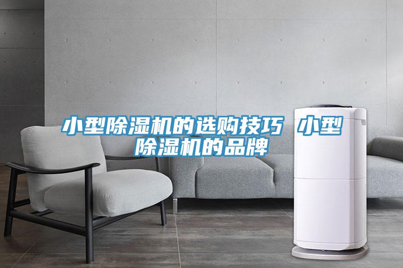 小型粉色应用黄色软件的选购技巧 小型粉色应用黄色软件的品牌