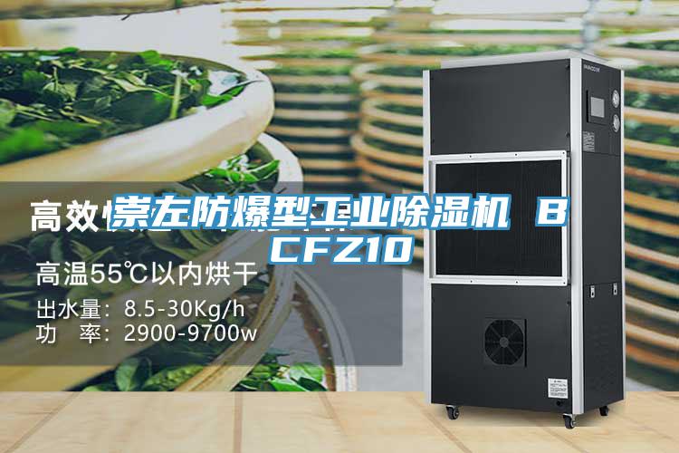 崇左防爆型工业粉色应用黄色软件 BCFZ10