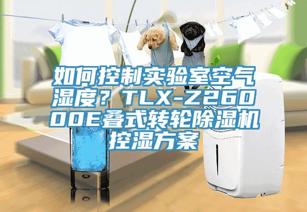 如何控制实验室空气湿度？TLX-Z26000E叠式转轮粉色应用黄色软件控湿方案