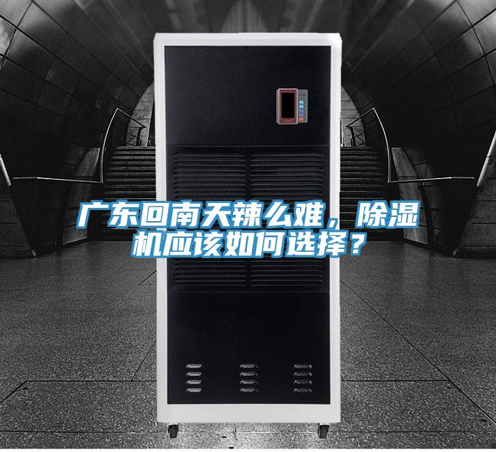 广东回南天辣么难，粉色应用黄色软件应该如何选择？