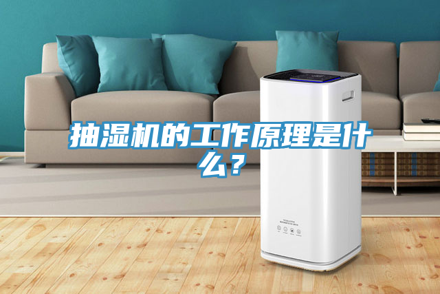 抽湿机的工作原理是什么？