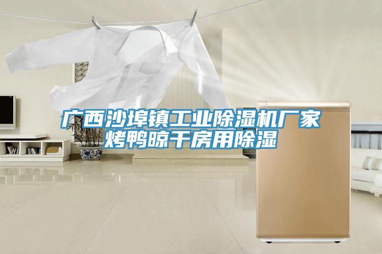 广西沙埠镇工业粉色应用黄色软件厂家烤鸭晾干房用除湿