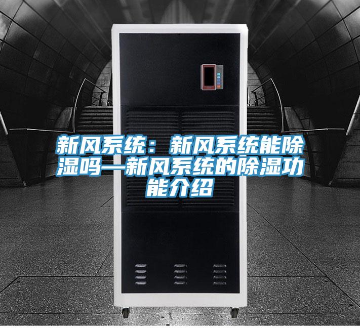 新风系统：新风系统能除湿吗—新风系统的除湿功能介绍