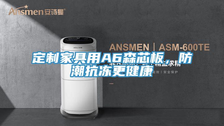 定制家具用A6森芯板，防潮抗冻更健康