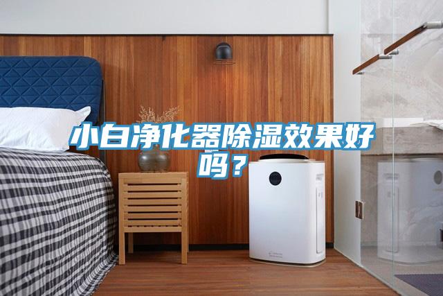 小白净化器除湿效果好吗？