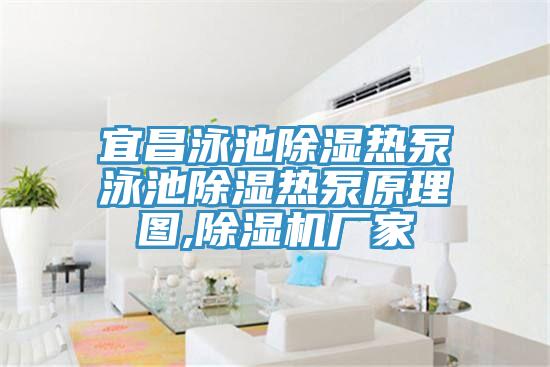 宜昌泳池除湿热泵泳池除湿热泵原理图,粉色应用黄色软件厂家