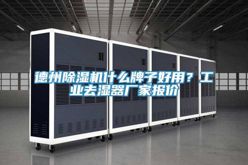 德州粉色应用黄色软件什么牌子好用？工业去湿器厂家报价