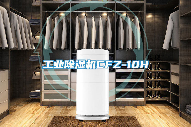 工业粉色应用黄色软件CFZ-10H