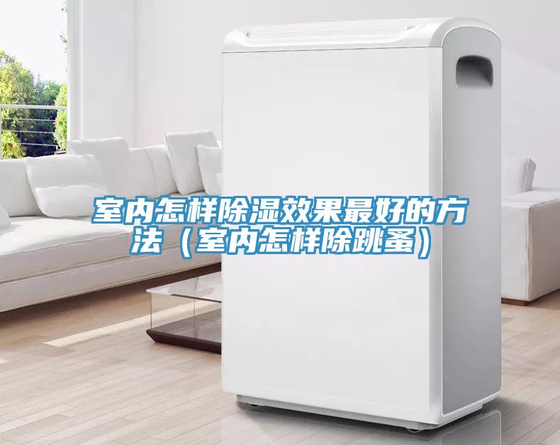 室内怎样除湿效果最好的方法(室内怎样除跳蚤)