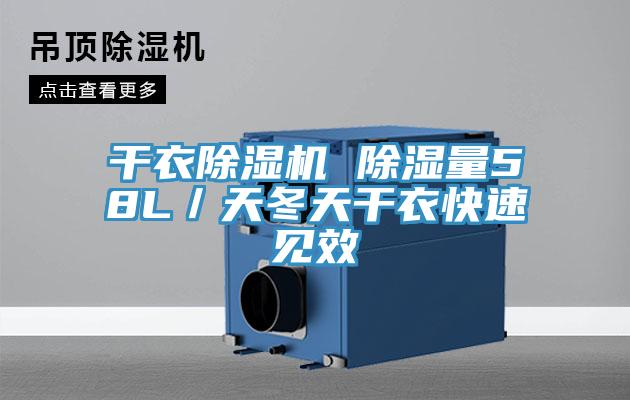 干衣粉色应用黄色软件 除湿量58L／天冬天干衣快速见效