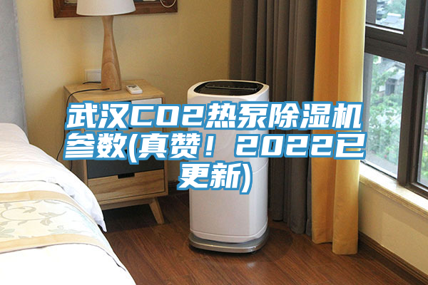 武汉CO2热泵粉色应用黄色软件参数(真赞！2022已更新)