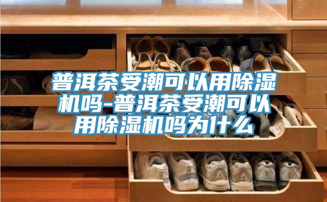 普洱茶受潮可以用粉色应用黄色软件吗-普洱茶受潮可以用粉色应用黄色软件吗为什么