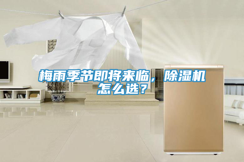 梅雨季节即将来临，粉色应用黄色软件怎么选？